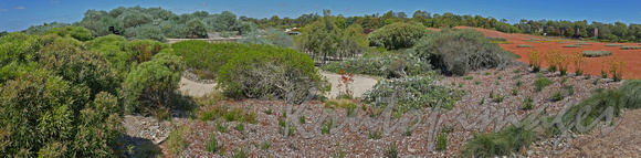 Australian Gardens Cranbourne.