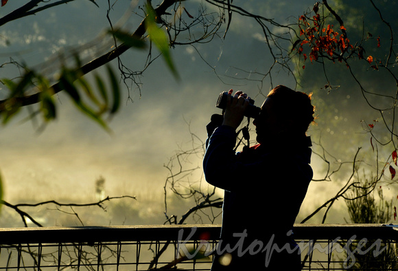 Birdwatcher in the early morning on a wetlands boardwalk -Phillip Island