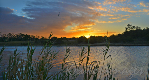 Gippsland Lakes ...at sunset