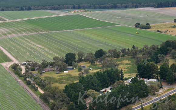 aerial of planted crops