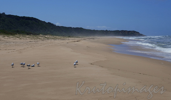 Ninety mile beach a secluded section in Gippsland