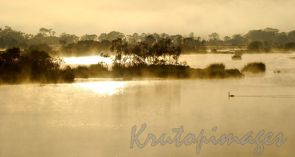 environment-Early morning on the Gippsland wetlands