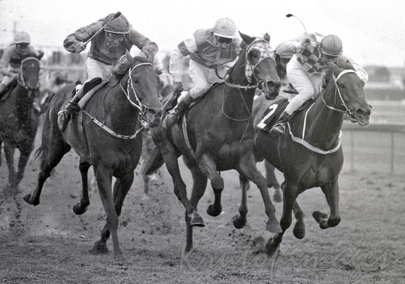 Little Tipsy -left -beats previous winner Top Ware in the 1982 Warnambool Cup