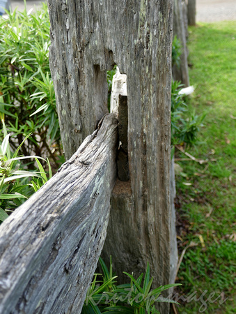 OLd post and rail timber fence-Anglesea Victoria
