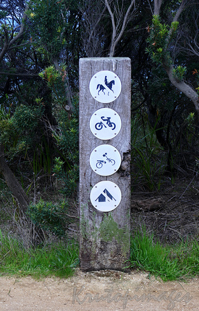 signage on a beach walk in Anglesea