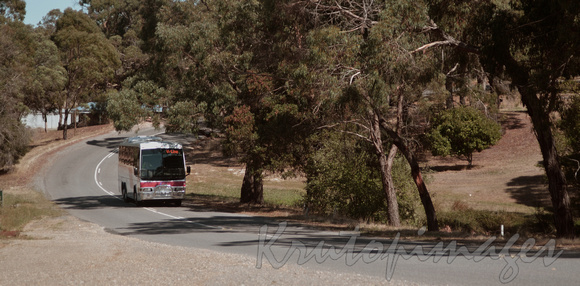 VLine coaches-Ballarat Victoria_2471
