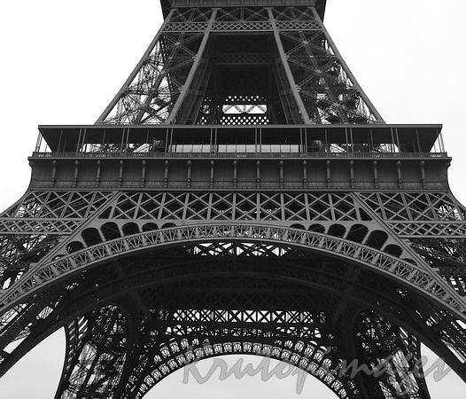 Paris the Eiffel Tower black and white image of a section