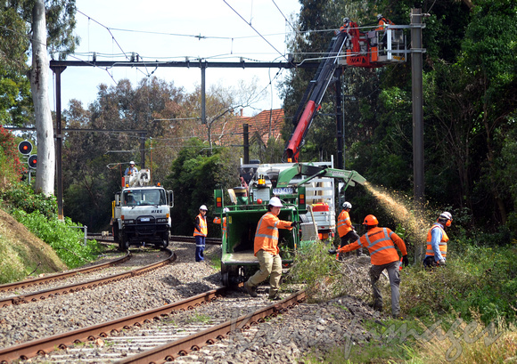 track maintenance, clearing overhanging trees