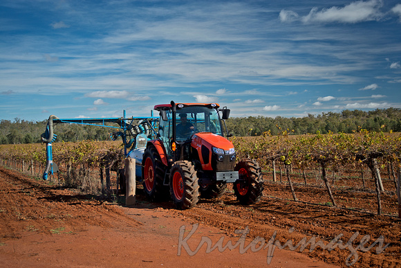 TRactor with maintenance equipment working on vine crops