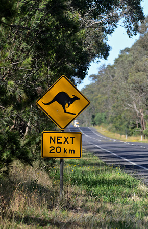 Victorian country road with warning of kangaroos as a hazard for next next 20km