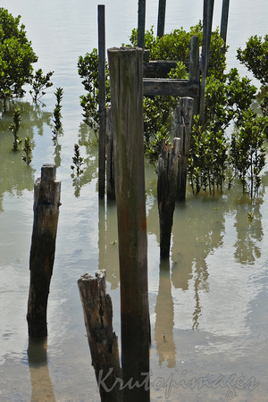 remains of an old timber jetty in Tooradin