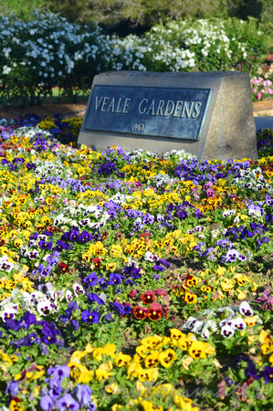 Veale Gardens Adelaide 4785