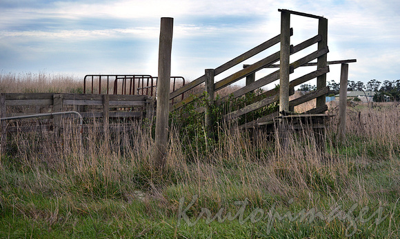 Old timber cattle ramp in an Victorian  farm it was used for stock to climb up to the trucking vehicle