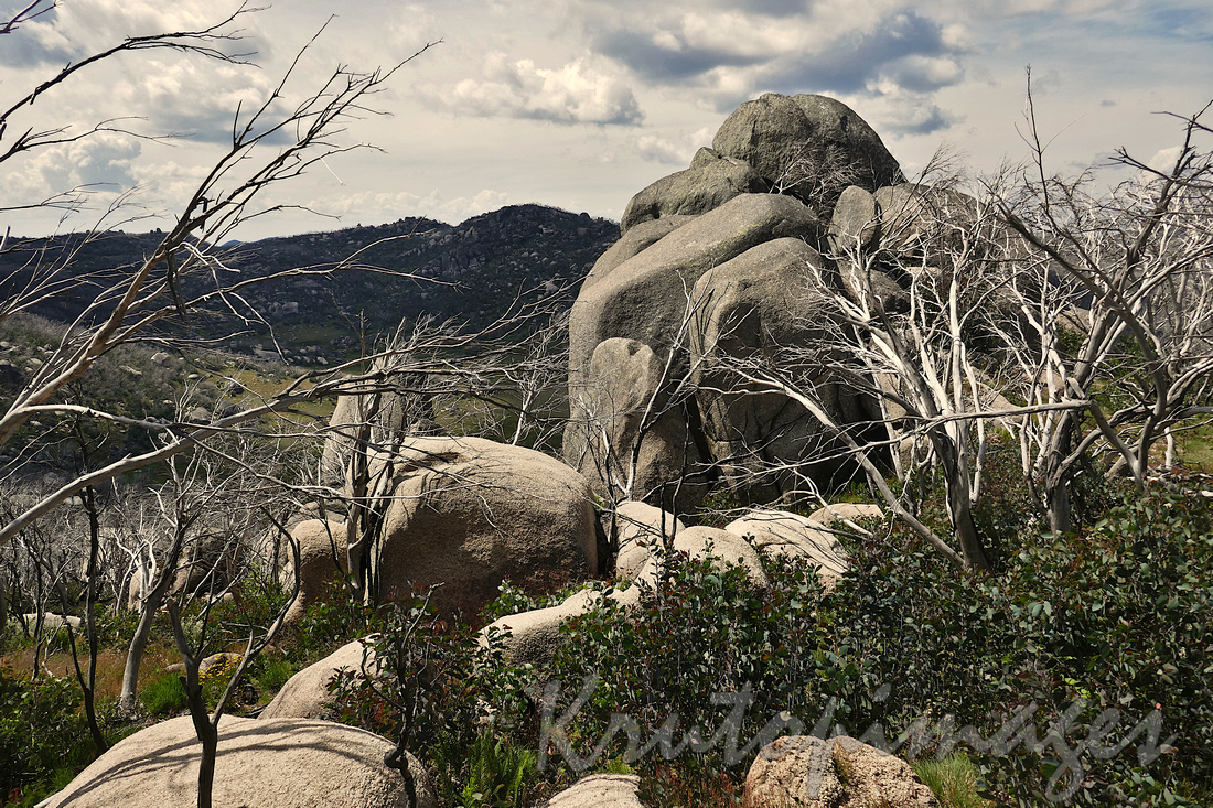 Rocky outcrop on the Alpine road to Mt Buffalo