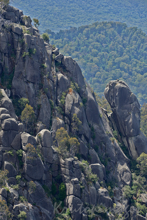 Mt Buffalo-rock formations on the mountain.