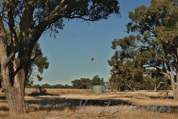 Hot air balloon travels across rural Yarrawonga district