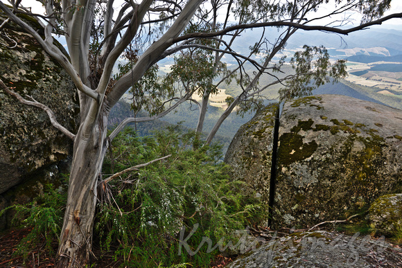 An amazing split rock at the Gorge at Mt Buffalo-Vic