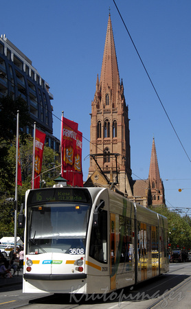 Melbourne tram and St Pauls cathedral Melbourne CBD