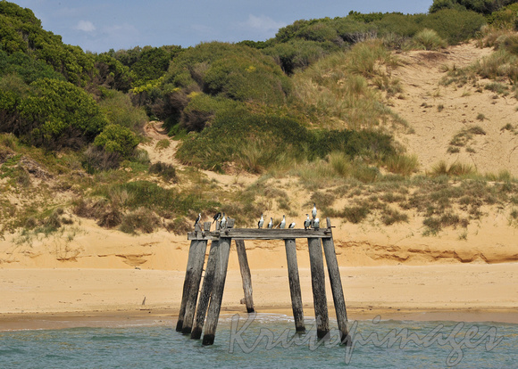 Gippsland Lakes old jetty  Victoria