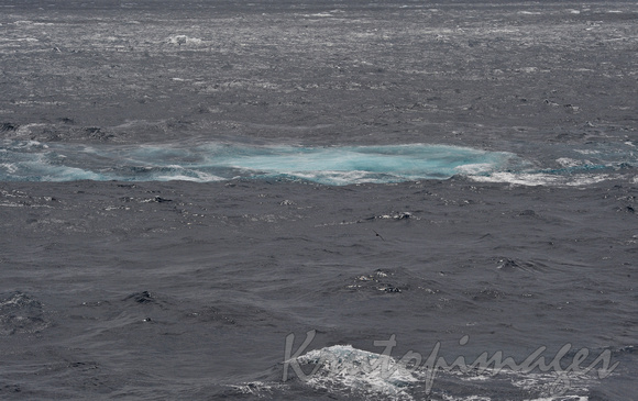 bubbling methane rises to the surface in Bass Strait-1