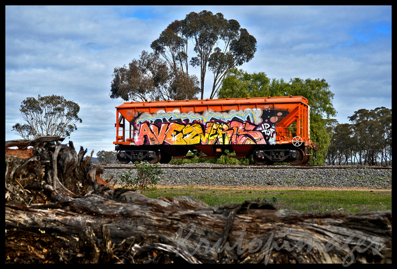 graffiti on a rail grain hopper sitting in rural siding -Victoria Australia