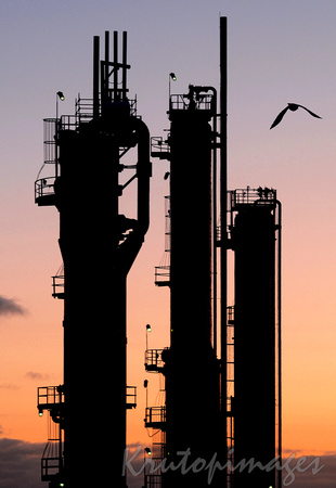 Refinery at sunset and bird sihouetted