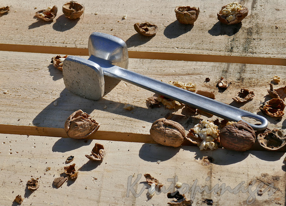 Hammer and some walnuts after cracking open
