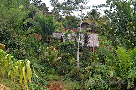 PNG- typical Huli farming village in the highlands