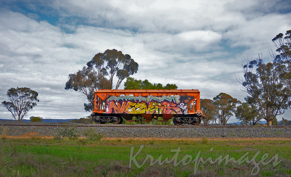 graffiti on a rail grain hopper sitting in rural siding -Victoria Australia -2