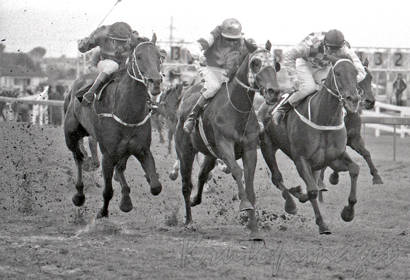 Little Tipsy beats previous winner Top Ware in the 1982 Warnambool Cup