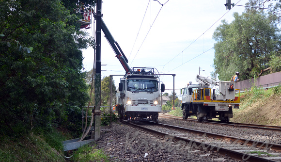 rail line maintenance in treed areas