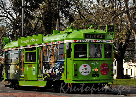 Yarra Trams -zoo tram had impact travelling the streets of Melbourne promoting the Melbourne Zoo
