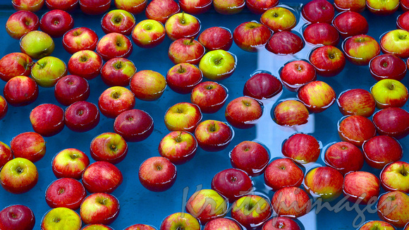 apples being washed commercially- prior to packaging