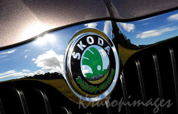 Skoda badge on motor vehicles