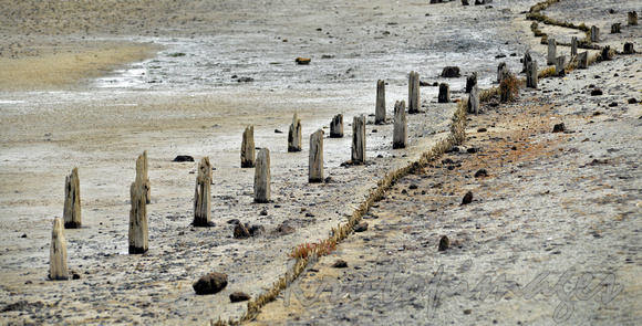 The remains of a old jetty walkway at Tooradin Victoria