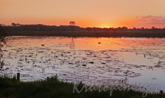 sunset on wetlands