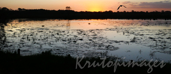 sunset over wetlands