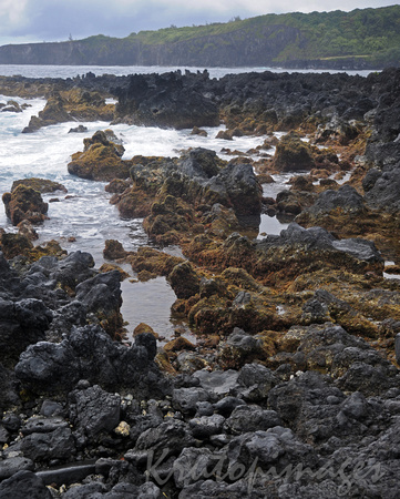 environment-the rocky volcanic shore in Hawaii