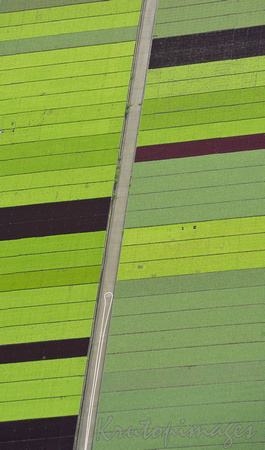 crops-aerial of farming in Victoria