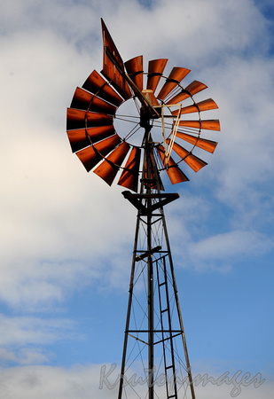 Australian Southern Cross windmills stand in a paddock