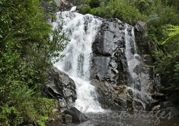 Steavensons Falls at Marysville