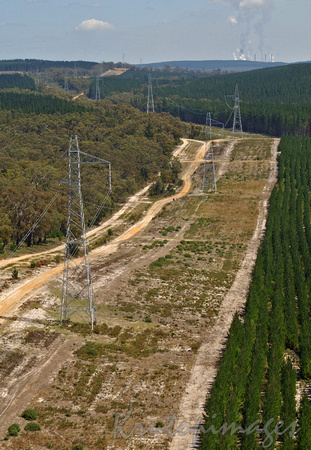 Powerlines leading to Loy Yang power station