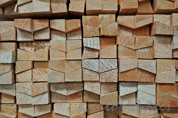 stacked cut timber.