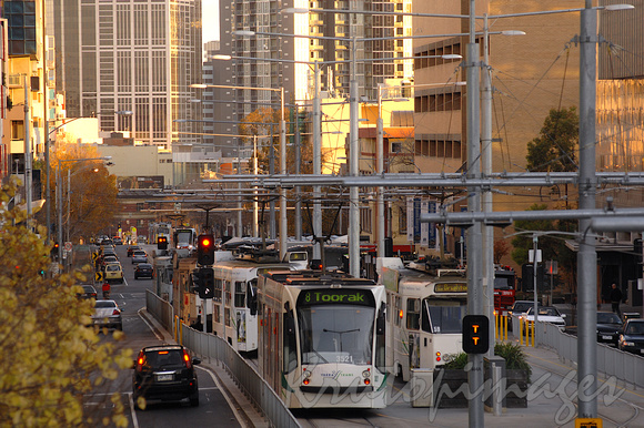 tram buildup at university stop on Swanston Street Melbourne CBD