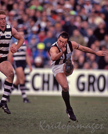 AFL_Collingwoods Tony Shaw boots away from Geelongs Staneham