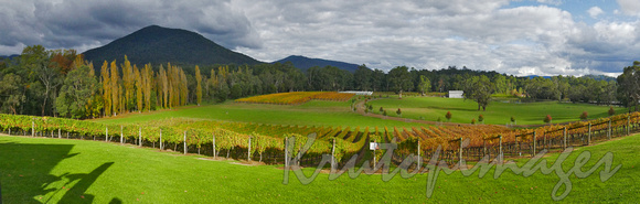 BOAT O'CRAIGH -vineyards in the Yarra Valley
