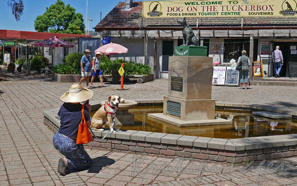 Gundagi New South Wales "Dog on the Tuckerbox"