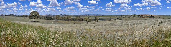 country roadside view NSW-892