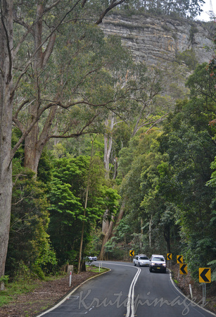 Bush road coastal NSW3859