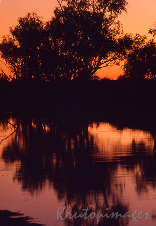 A brilliant red sunset on the banks of Coopers Creek Sth Australia